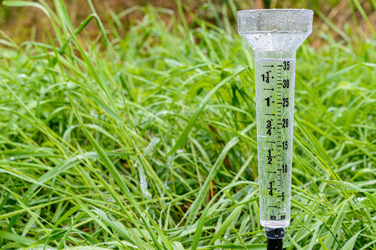 a rain gauge measuring the amount of precipitation