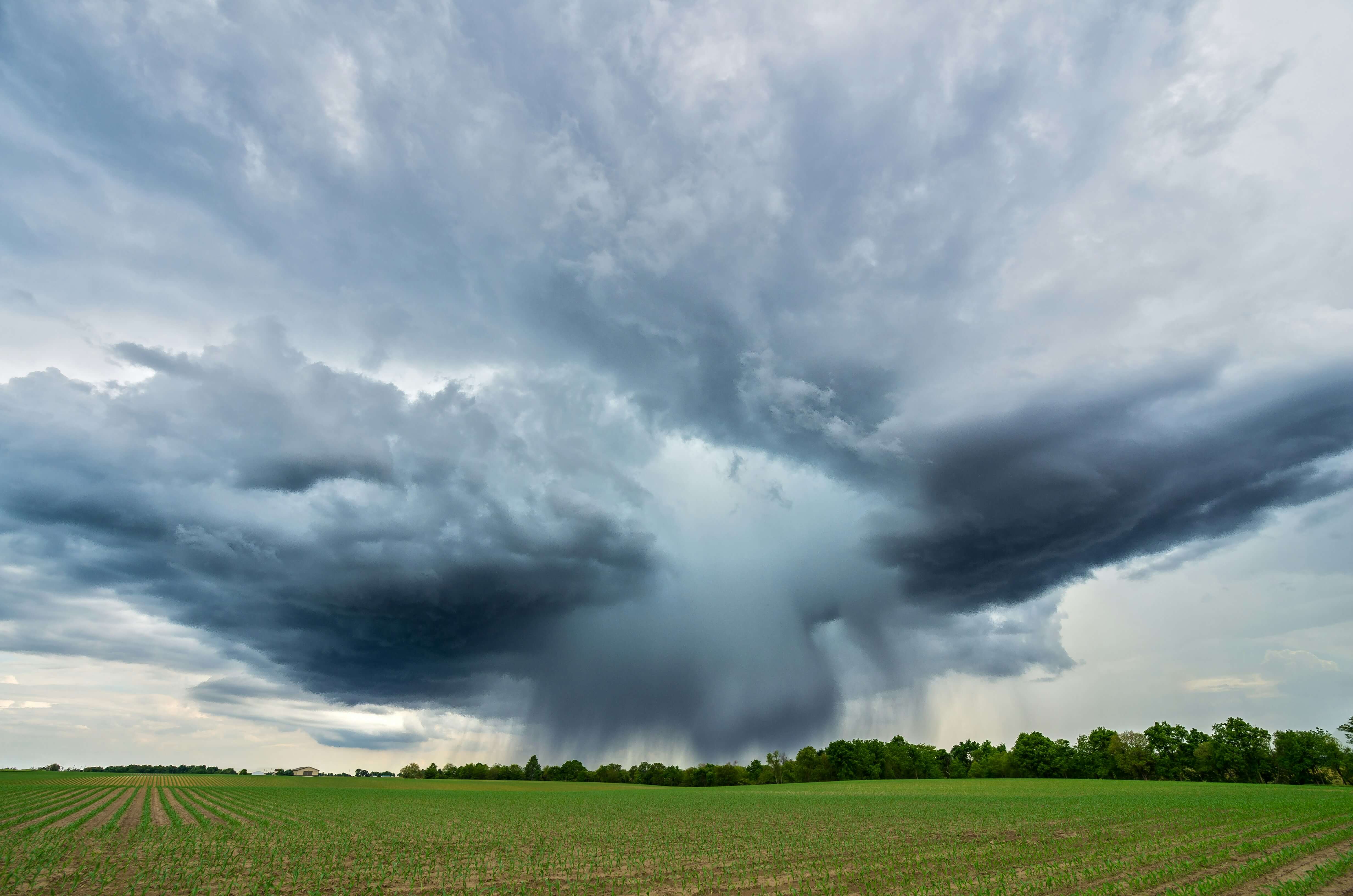 bad weather that a meteorologist did not accurately predict