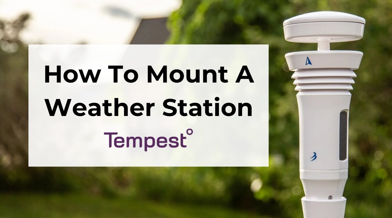the Tempest Weather Station mounted in a backyard