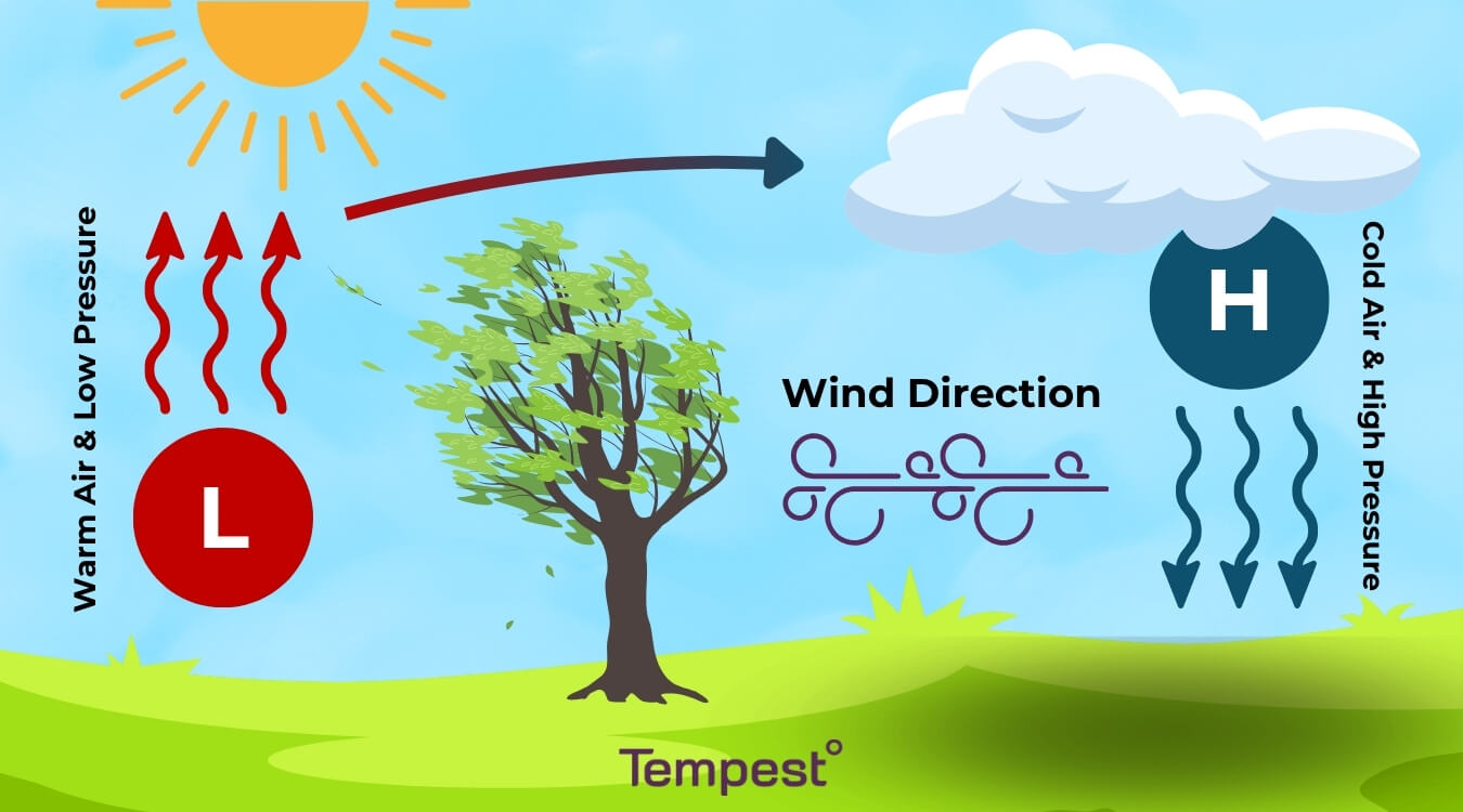 an infographic showing the wind cycle. Warm air rises and expands, creating less pressure than in areas where there is cooler air. Since air will always move from a high-pressure to low-pressure environment, this movement of air is what creates wind.