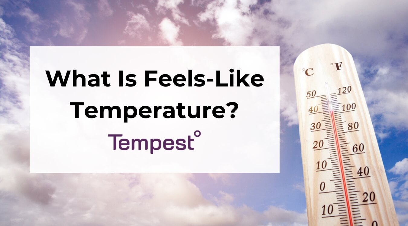 What Does Feel Like Temperature Mean? Why It Matters